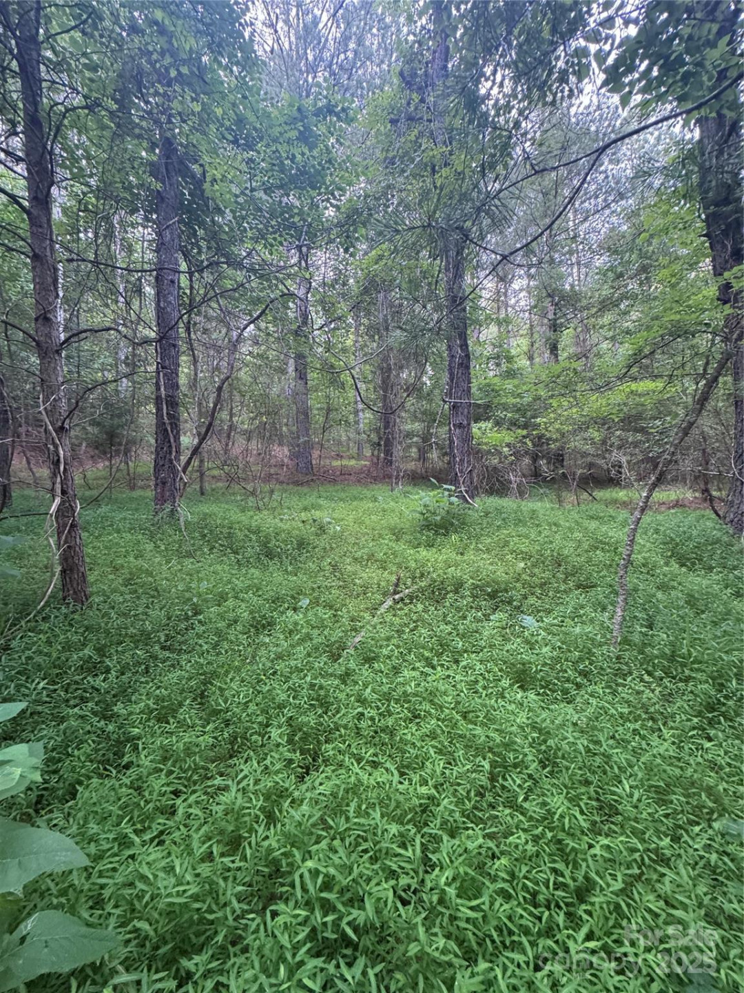 0 Clearwater Parkway #203 - Photo 17