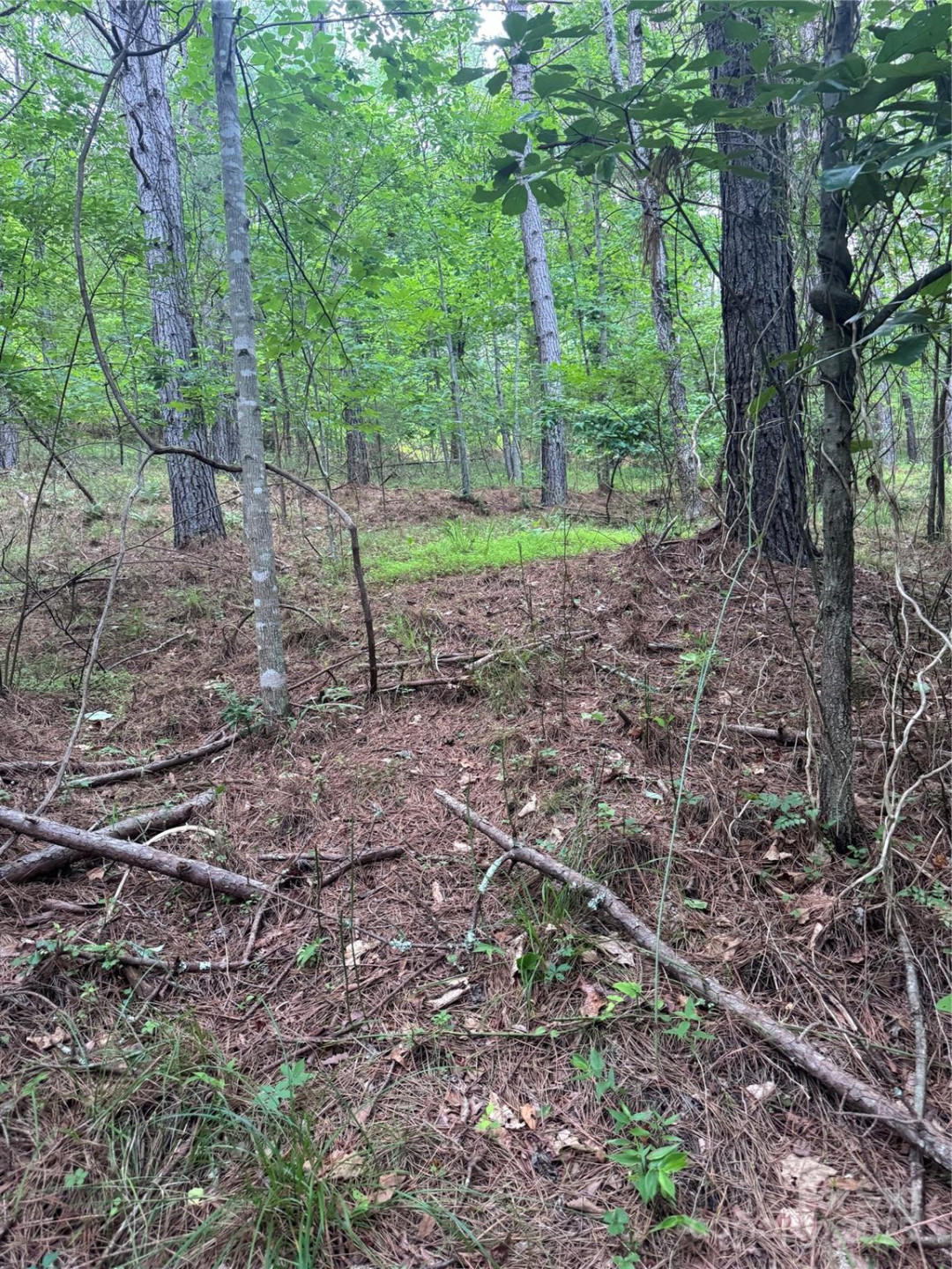 0 Clearwater Parkway #203 - Photo 18