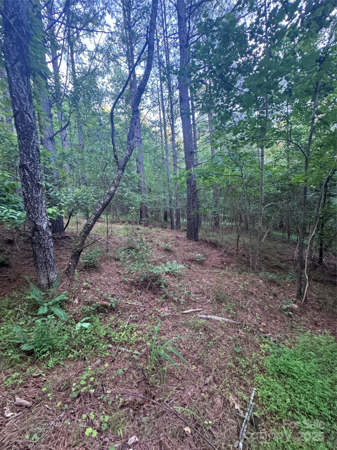 0 Clearwater Parkway #203 - Photo 19