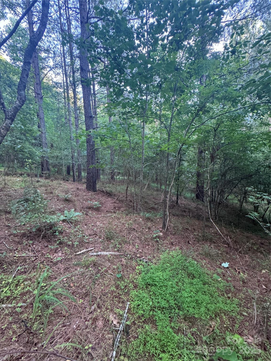 0 Clearwater Parkway #203 - Photo 20