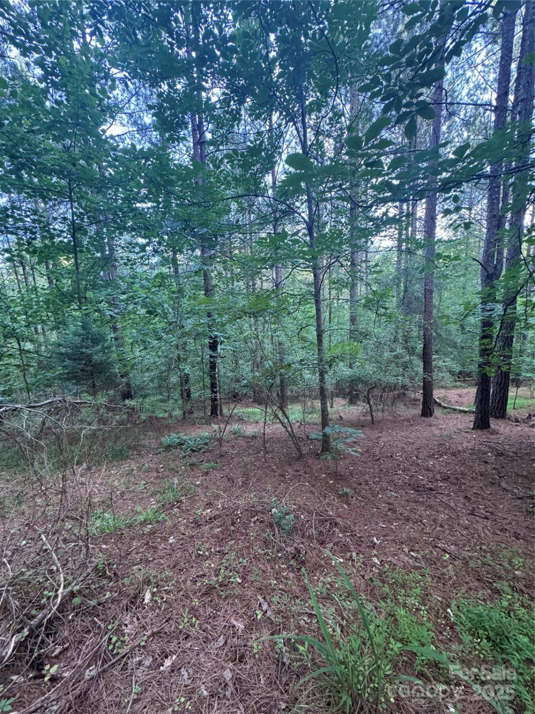 0 Clearwater Parkway #203 - Photo 3