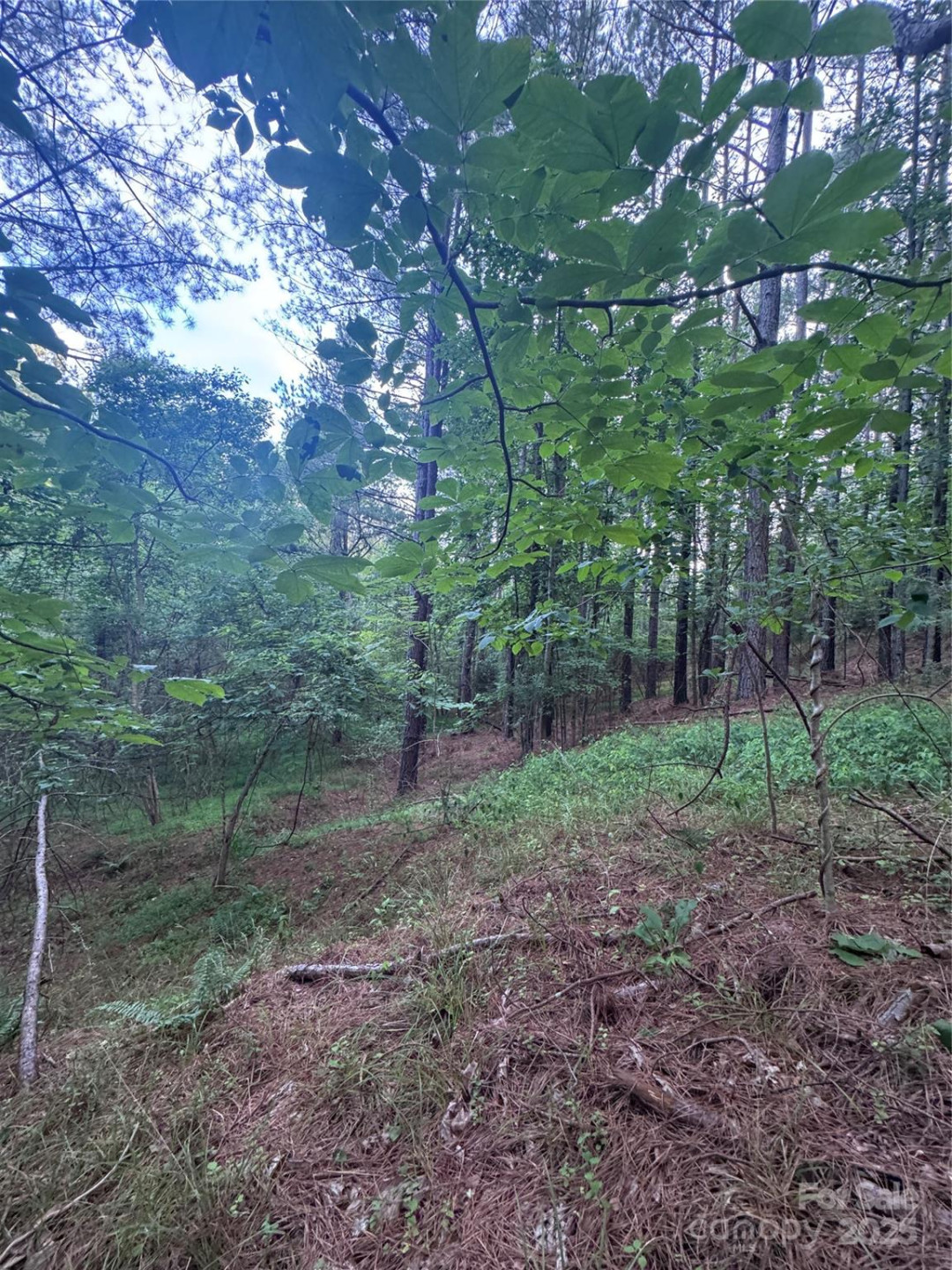 0 Clearwater Parkway #203 - Photo 21