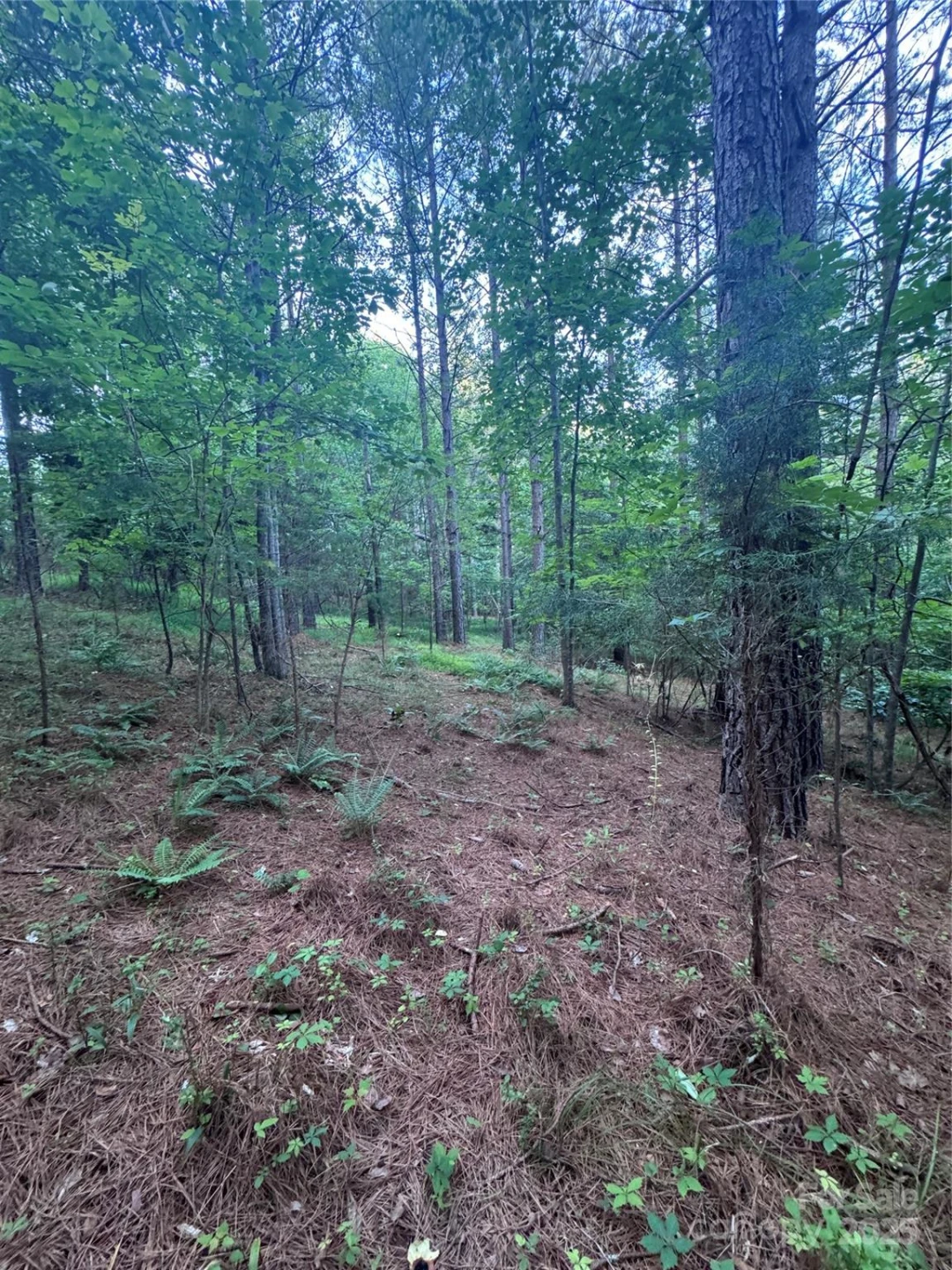 0 Clearwater Parkway #203 - Photo 22