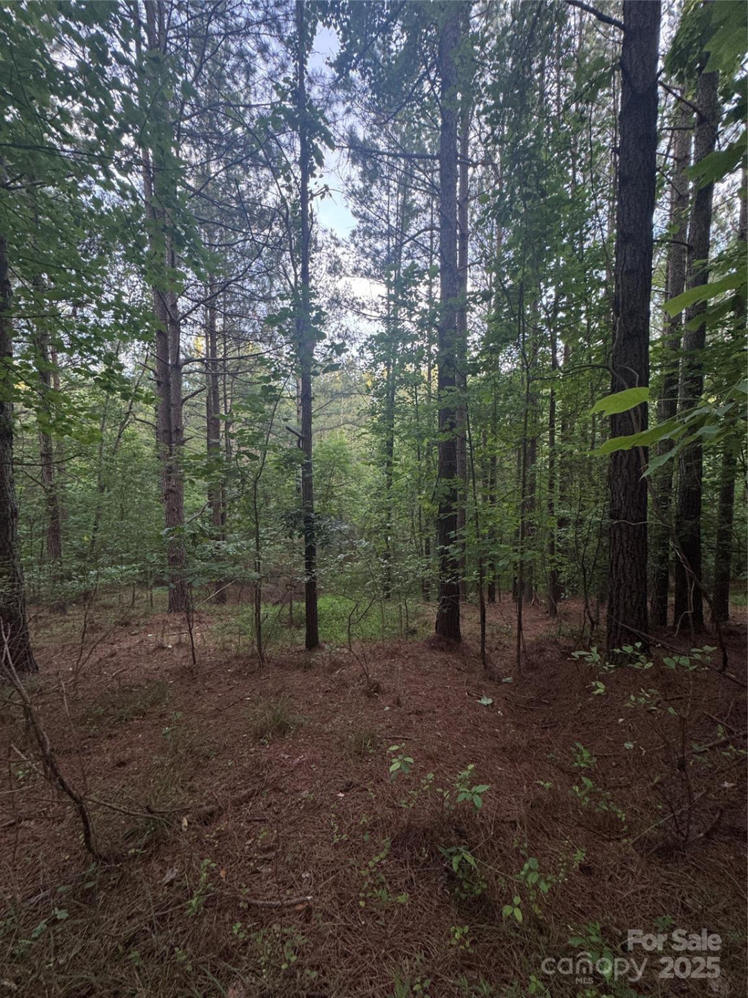 0 Clearwater Parkway #203 - Photo 23