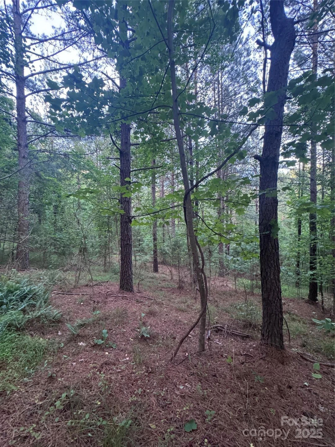 0 Clearwater Parkway #203 - Photo 24