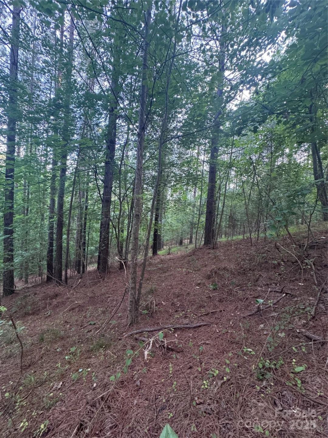 0 Clearwater Parkway #203 - Photo 25