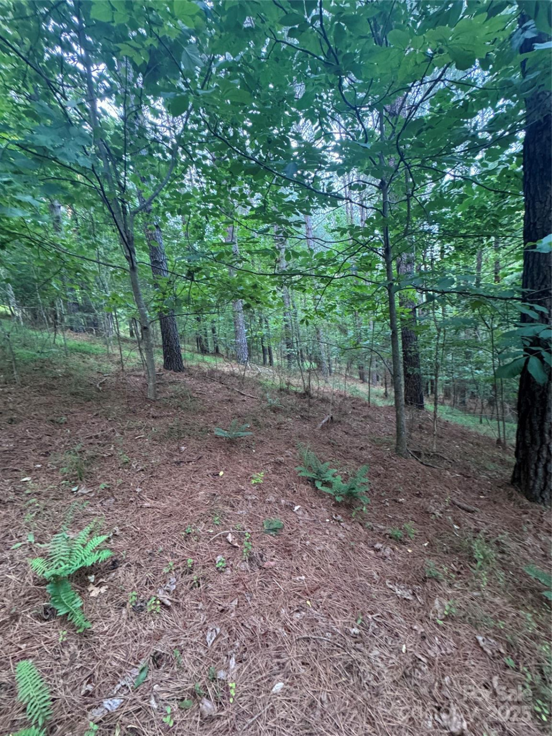 0 Clearwater Parkway #203 - Photo 4