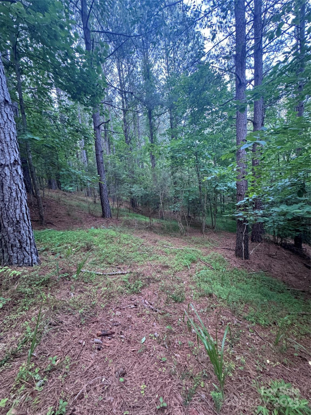 0 Clearwater Parkway #203 - Photo 5