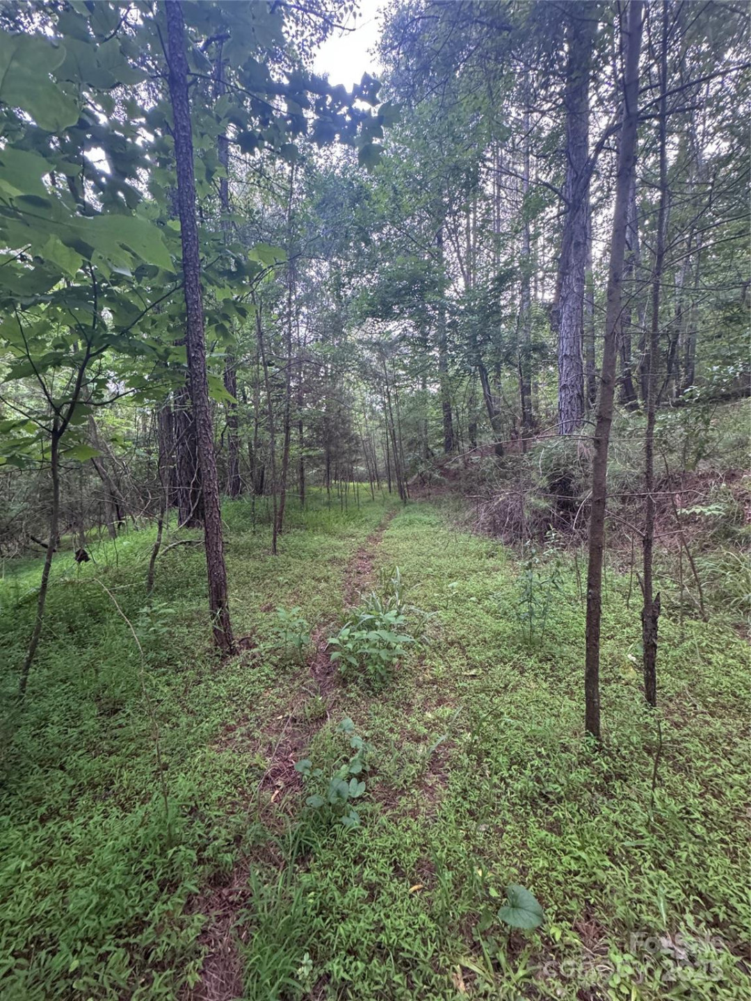 0 Clearwater Parkway #203 - Photo 6