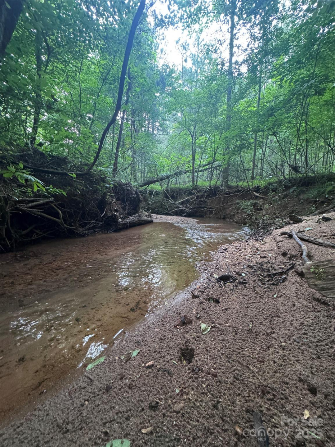 0 Clearwater Parkway #203 - Photo 9