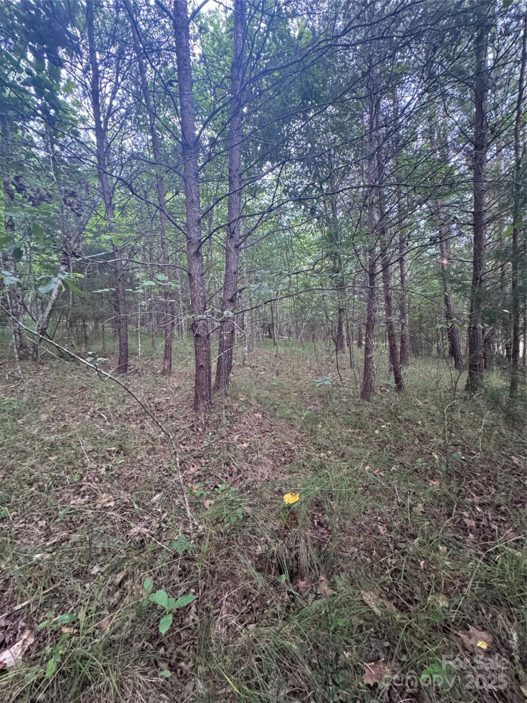 0 Cross Creek Drive #67 - Photo 2