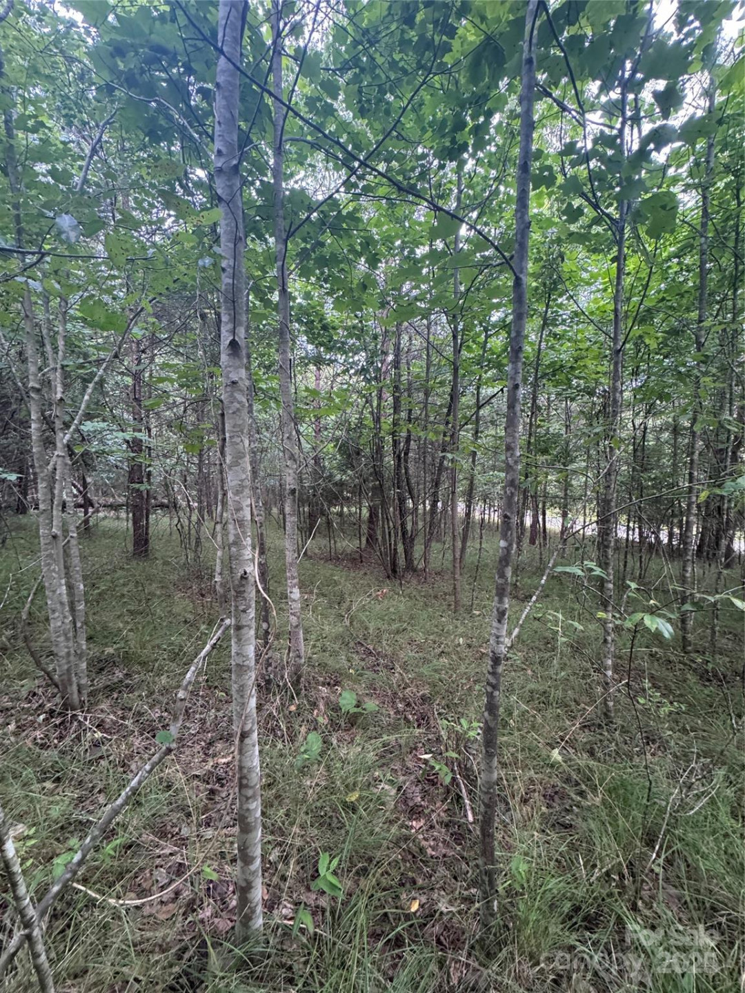 0 Cross Creek Drive #67 - Photo 11