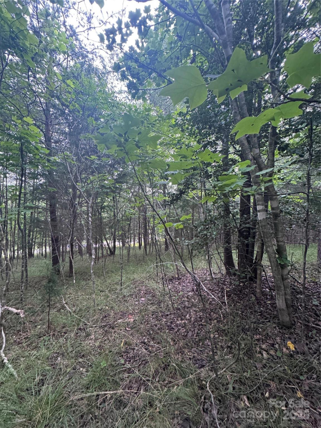 0 Cross Creek Drive #67 - Photo 12