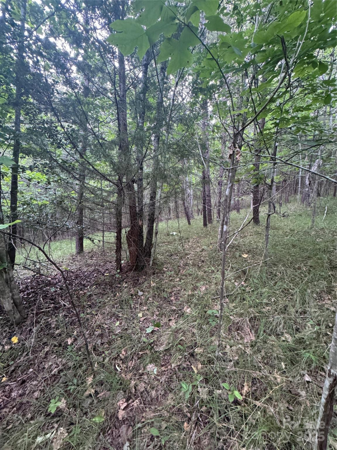 0 Cross Creek Drive #67 - Photo 13