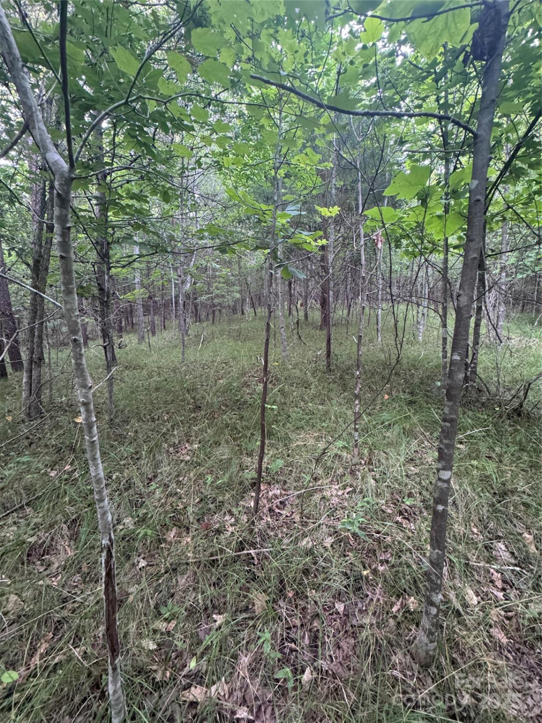 0 Cross Creek Drive #67 - Photo 14