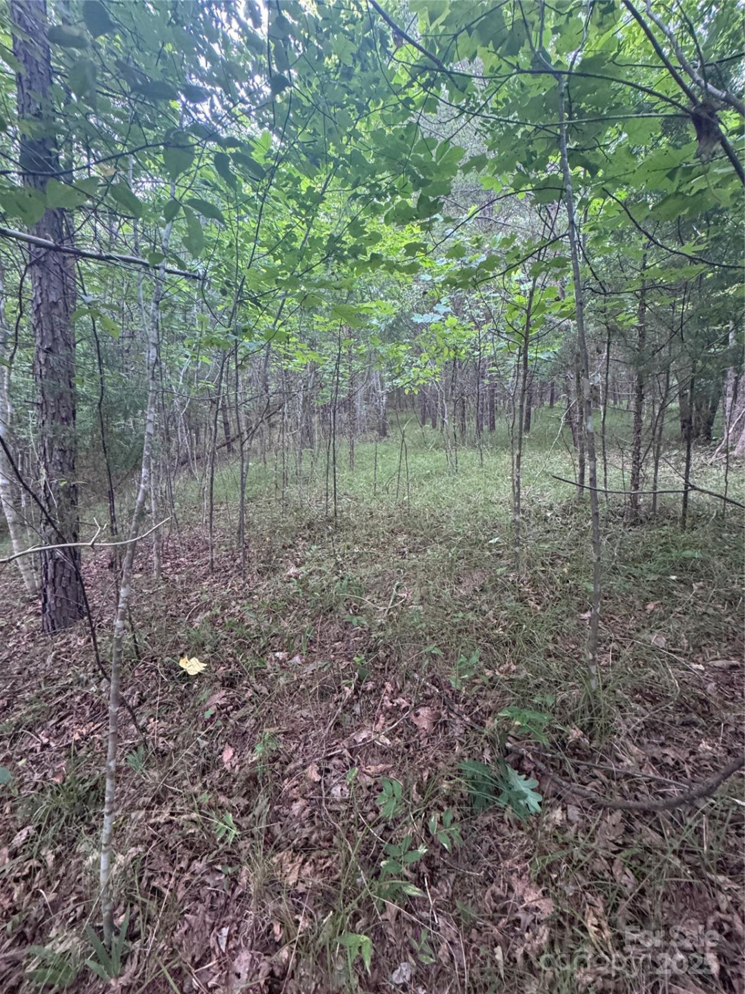 0 Cross Creek Drive #67 - Photo 16