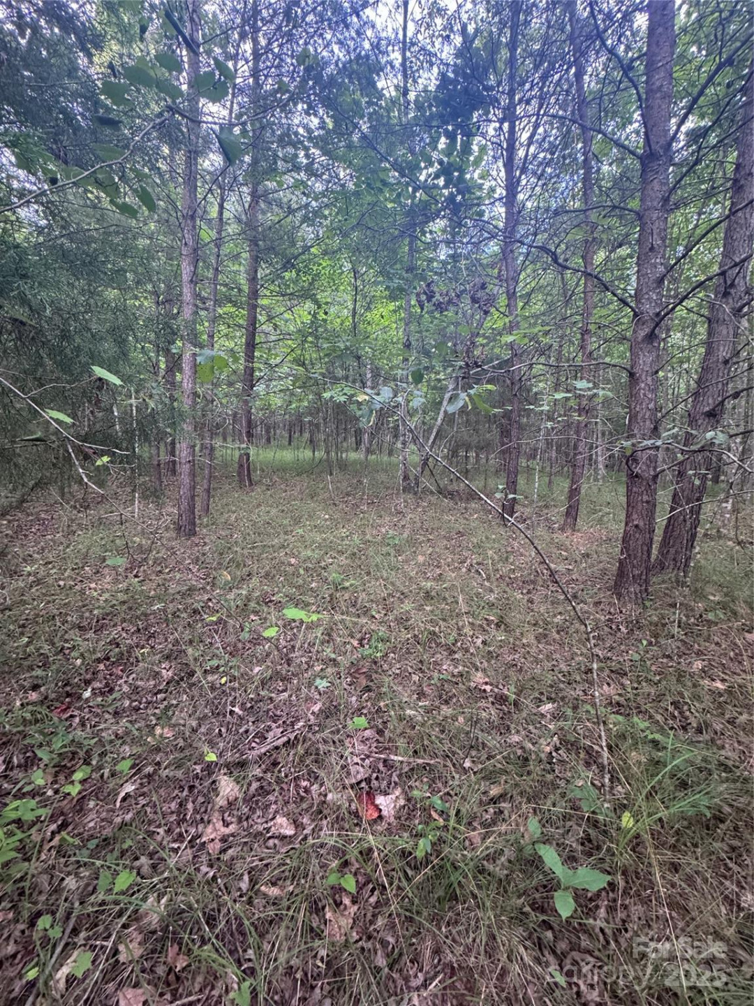 0 Cross Creek Drive #67 - Photo 17