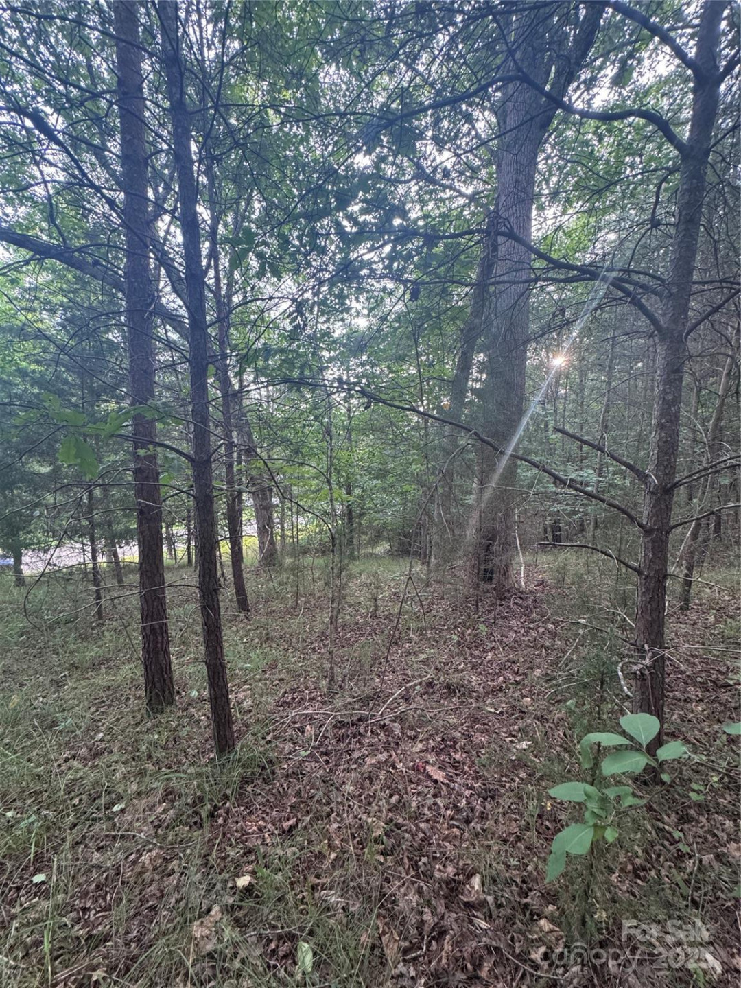 0 Cross Creek Drive #67 - Photo 3