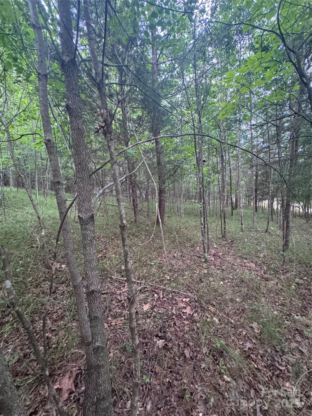 0 Cross Creek Drive #67 - Photo 4