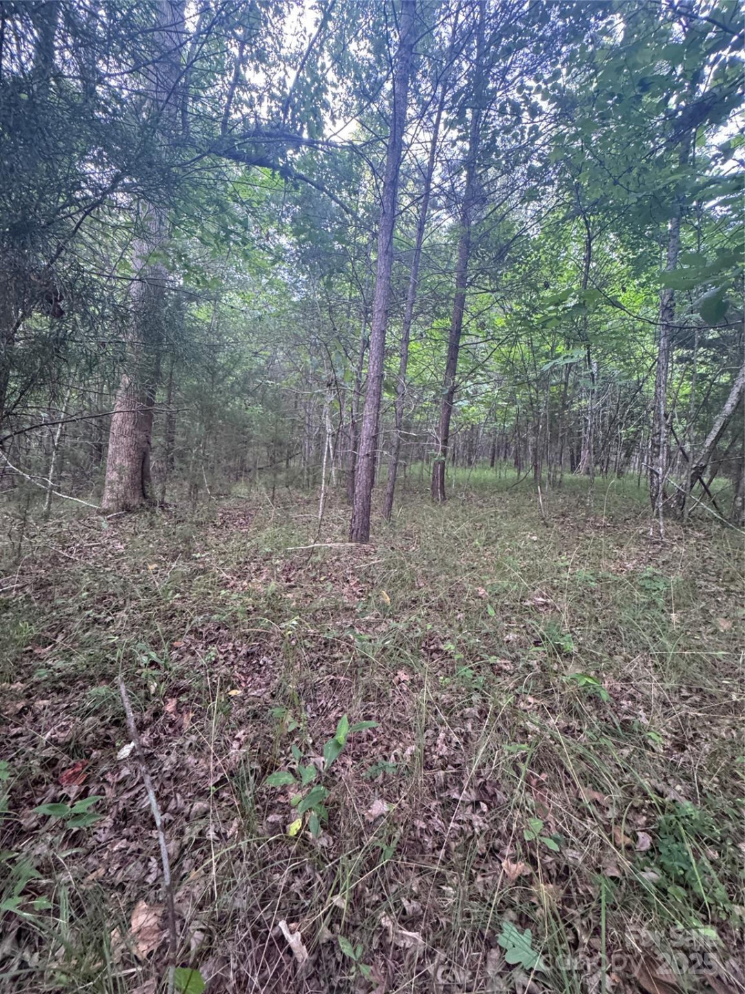 0 Cross Creek Drive #67 - Photo 5