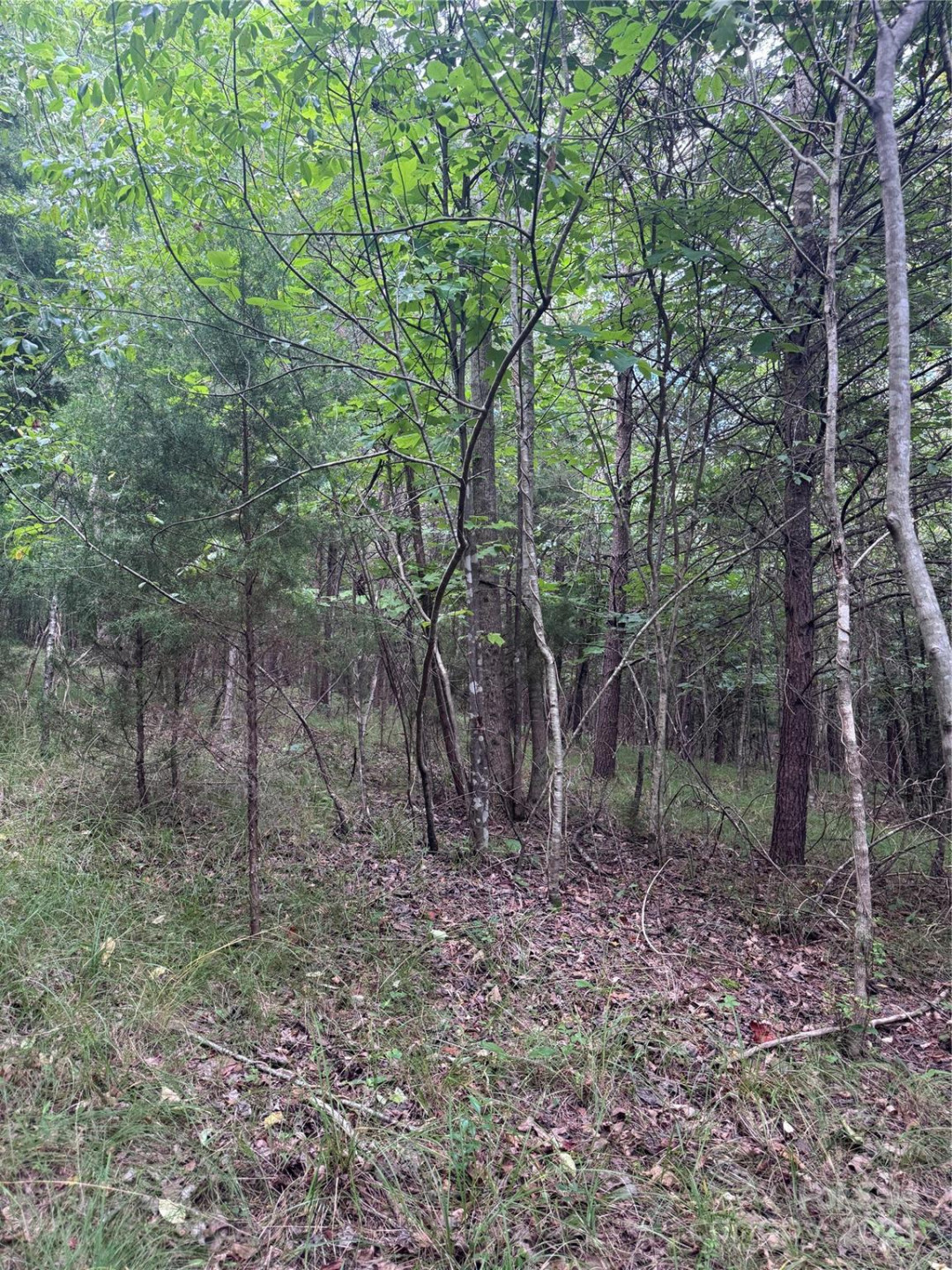 0 Cross Creek Drive #67 - Photo 6