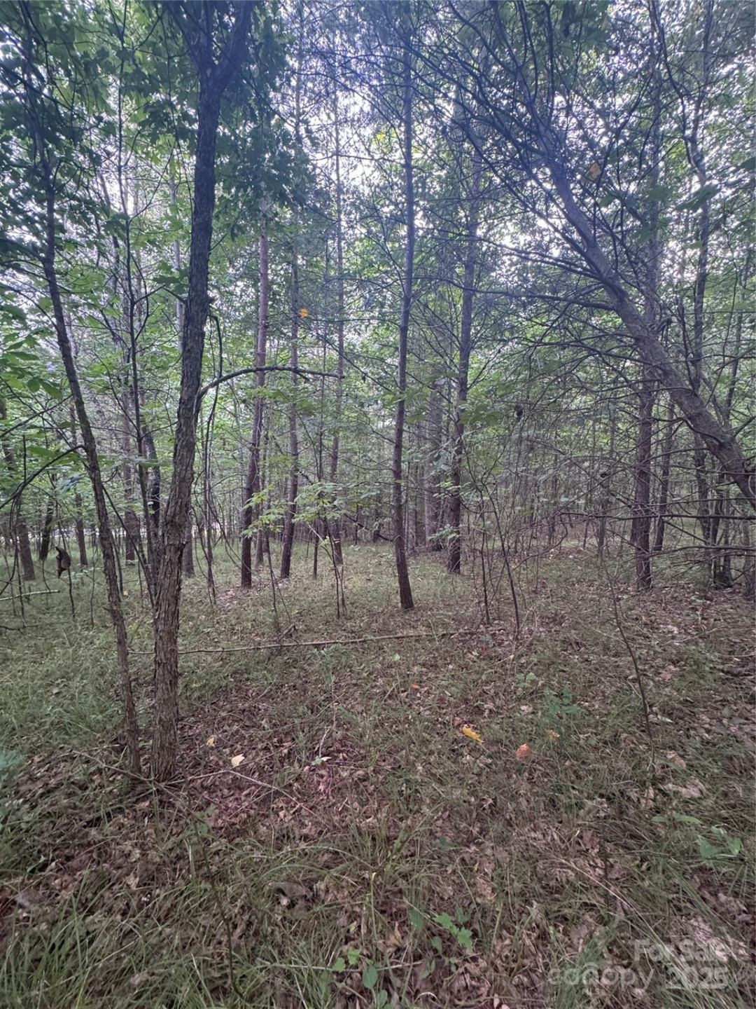 0 Cross Creek Drive #67 - Photo 7