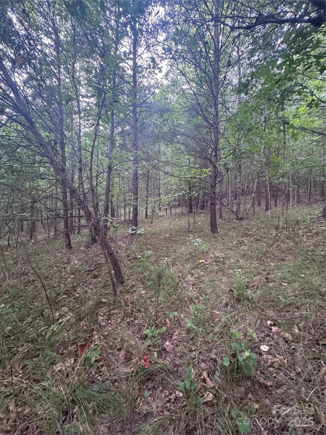 0 Cross Creek Drive #67 - Photo 8