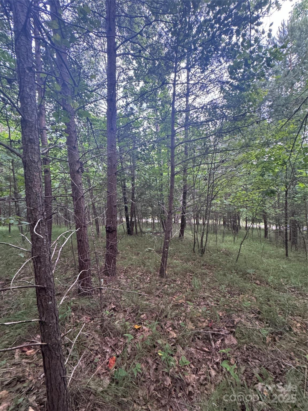 0 Cross Creek Drive #67 - Photo 9