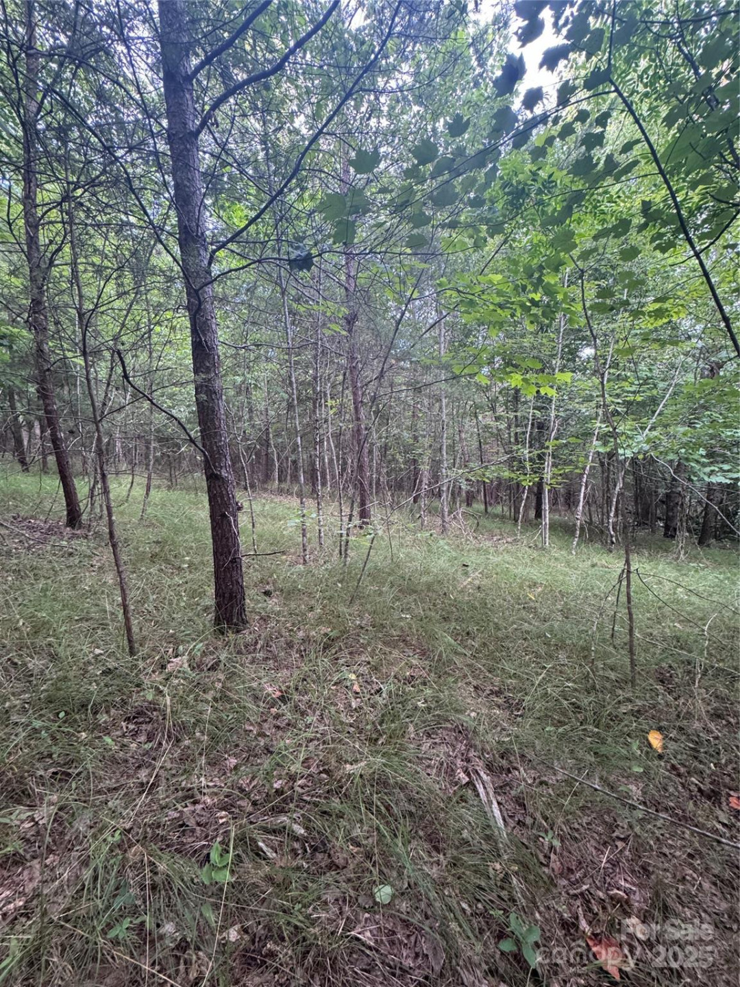 0 Cross Creek Drive #67 - Photo 10