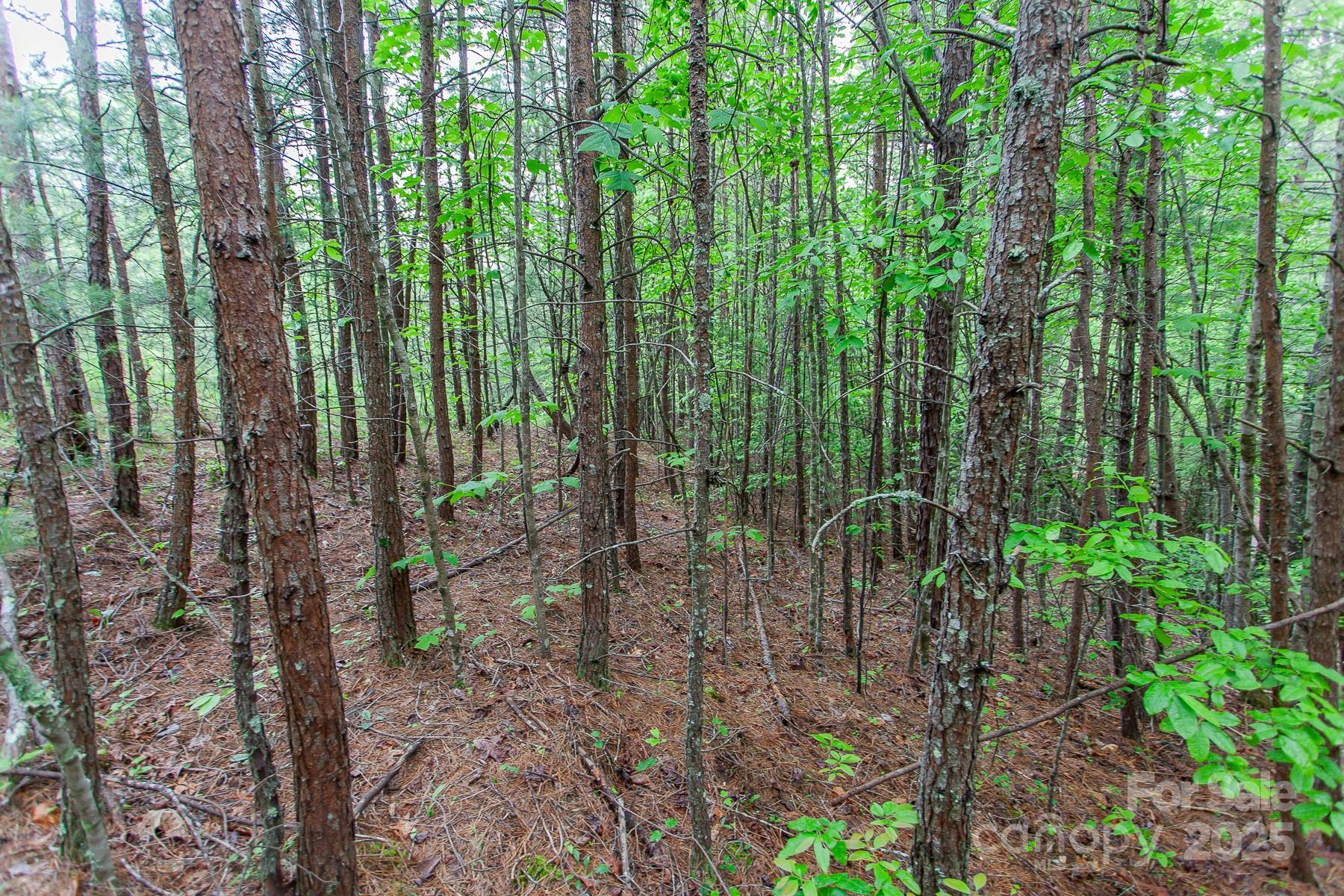 65 Cunningham Road - Photo 18