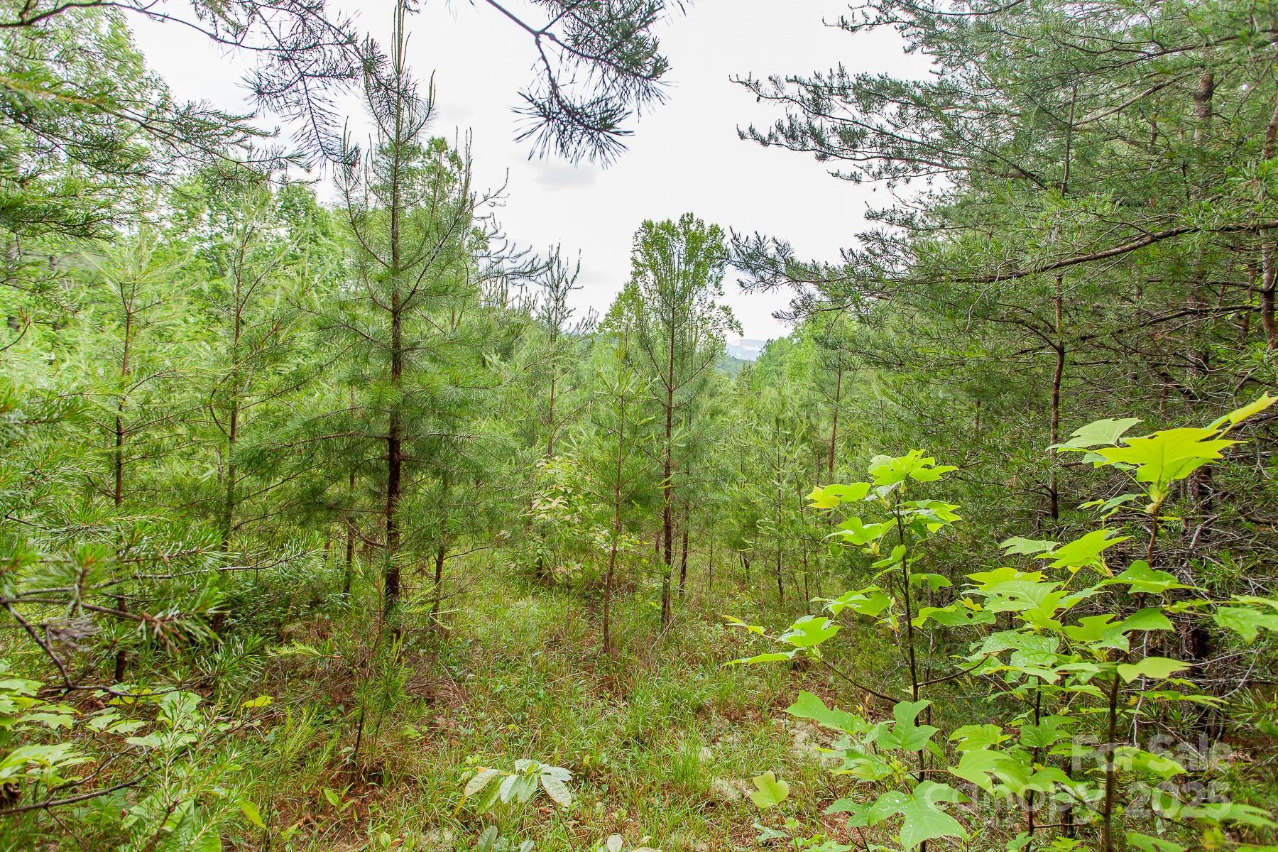 65 Cunningham Road - Photo 19