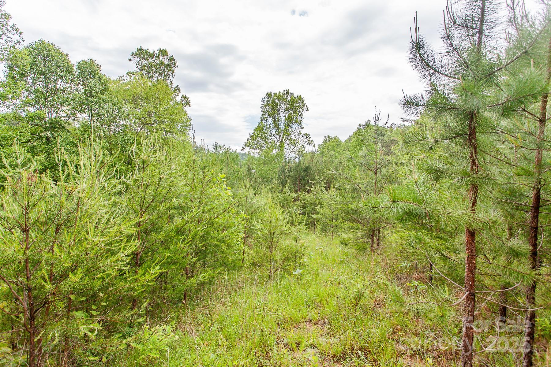 65 Cunningham Road - Photo 20