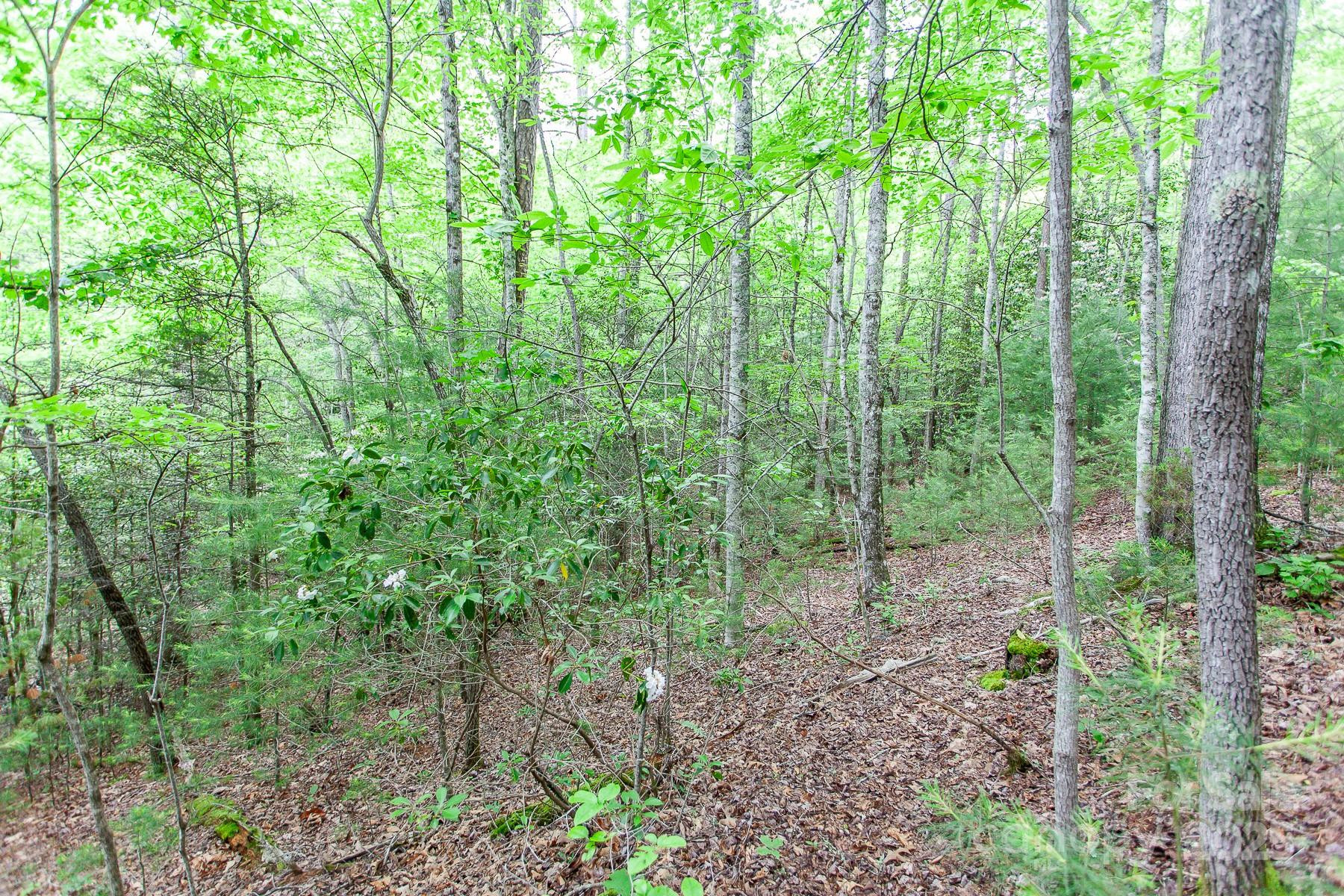 65 Cunningham Road - Photo 22