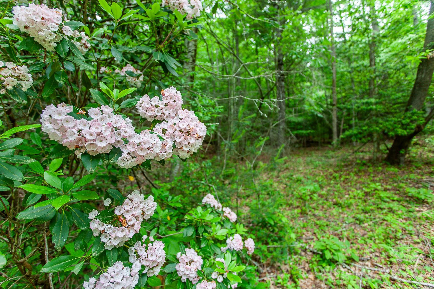 65 Cunningham Road - Photo 28