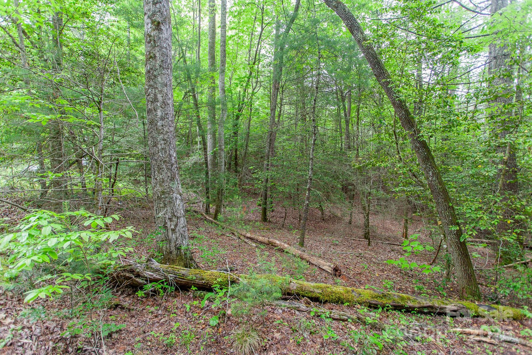 65 Cunningham Road - Photo 29