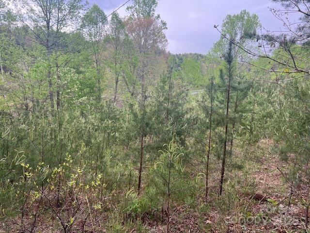 65 Cunningham Road - Photo 31