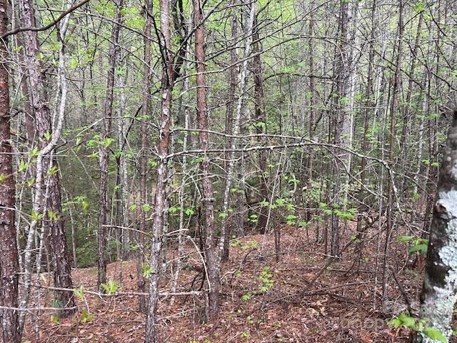 65 Cunningham Road - Photo 32