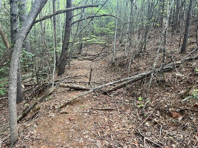 65 Cunningham Road - Photo 33