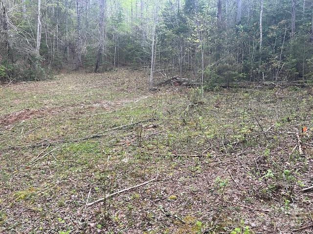 65 Cunningham Road - Photo 36