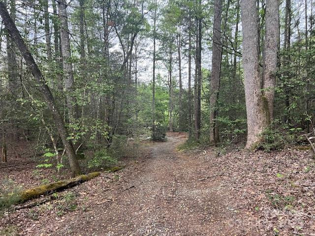 65 Cunningham Road - Photo 37