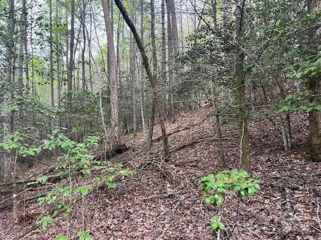 65 Cunningham Road - Photo 38