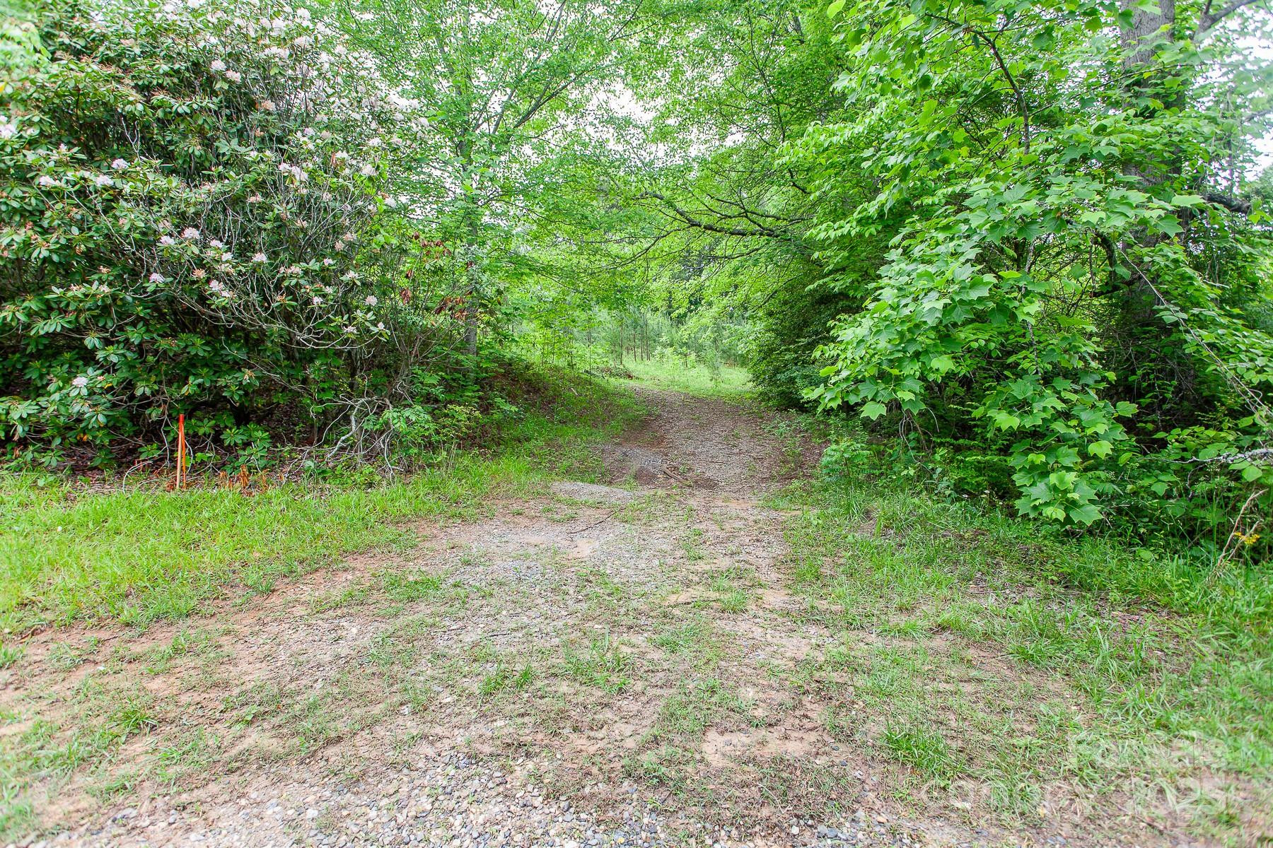 65 Cunningham Road - Photo 10