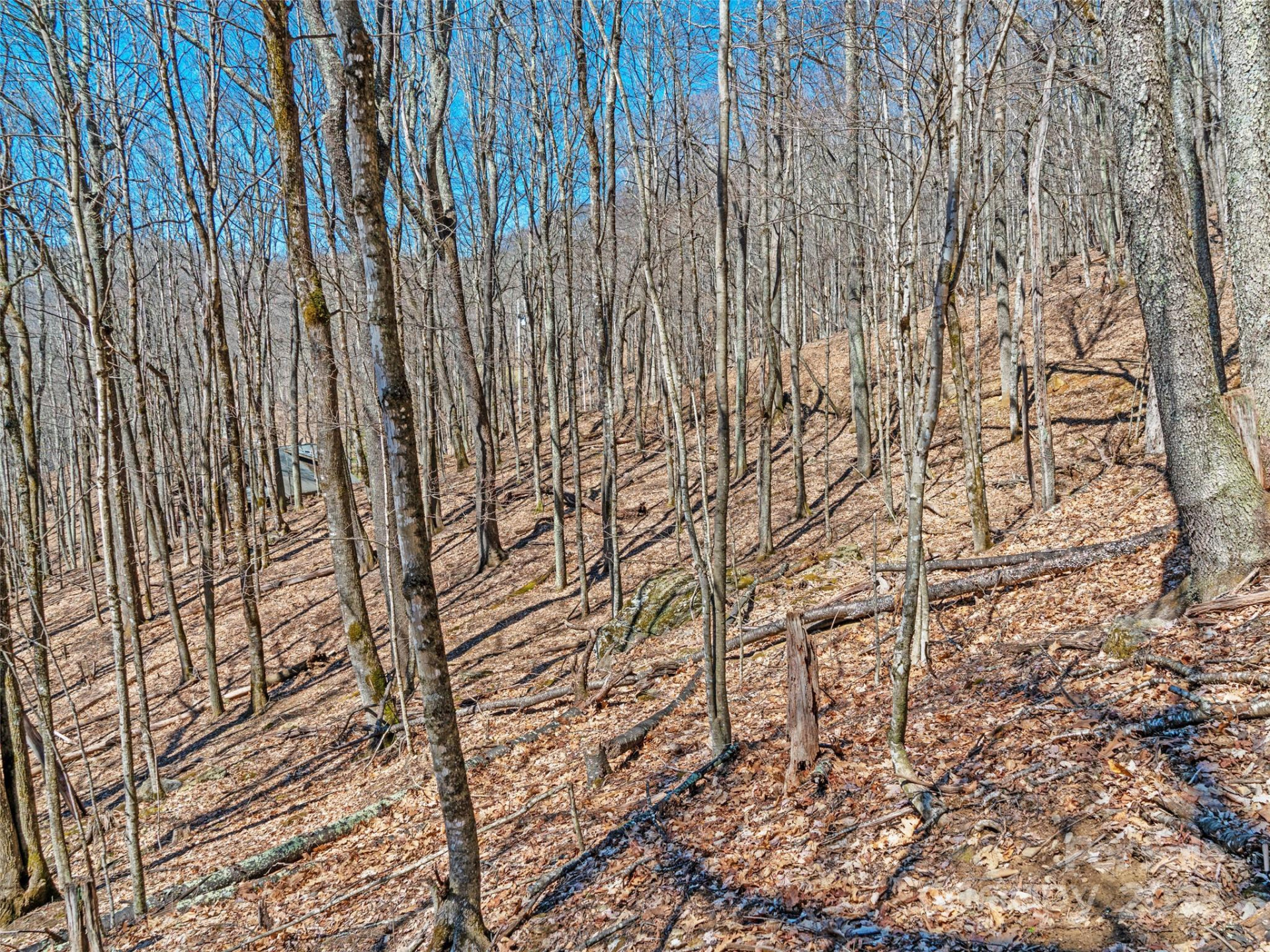 00 Tearshirt Lane #308/309 - Photo 11