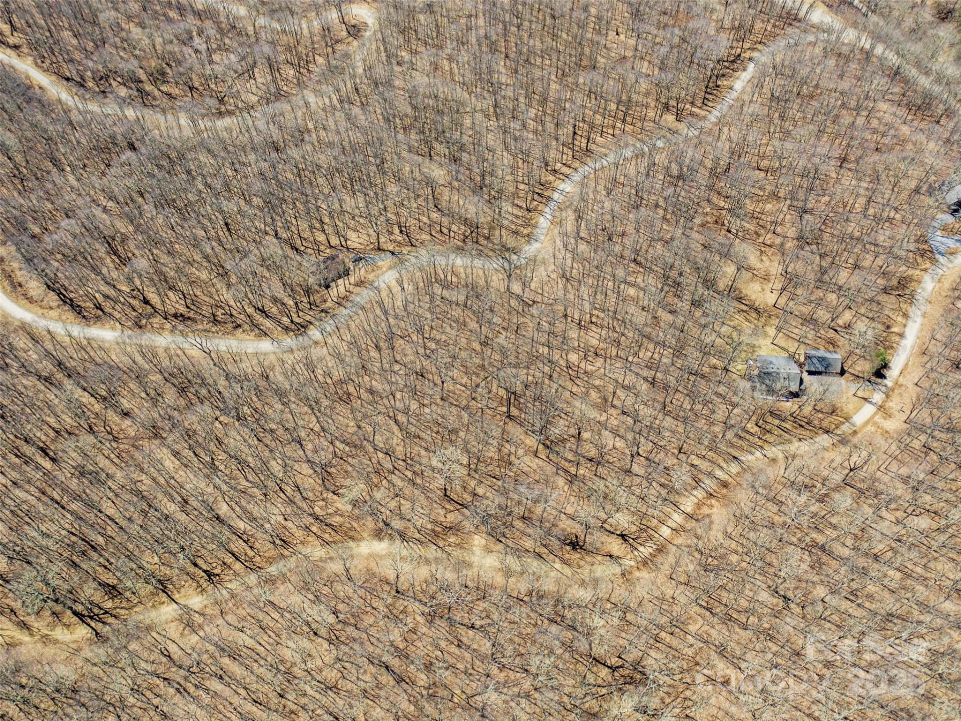 00 Tearshirt Lane #308/309 - Photo 13