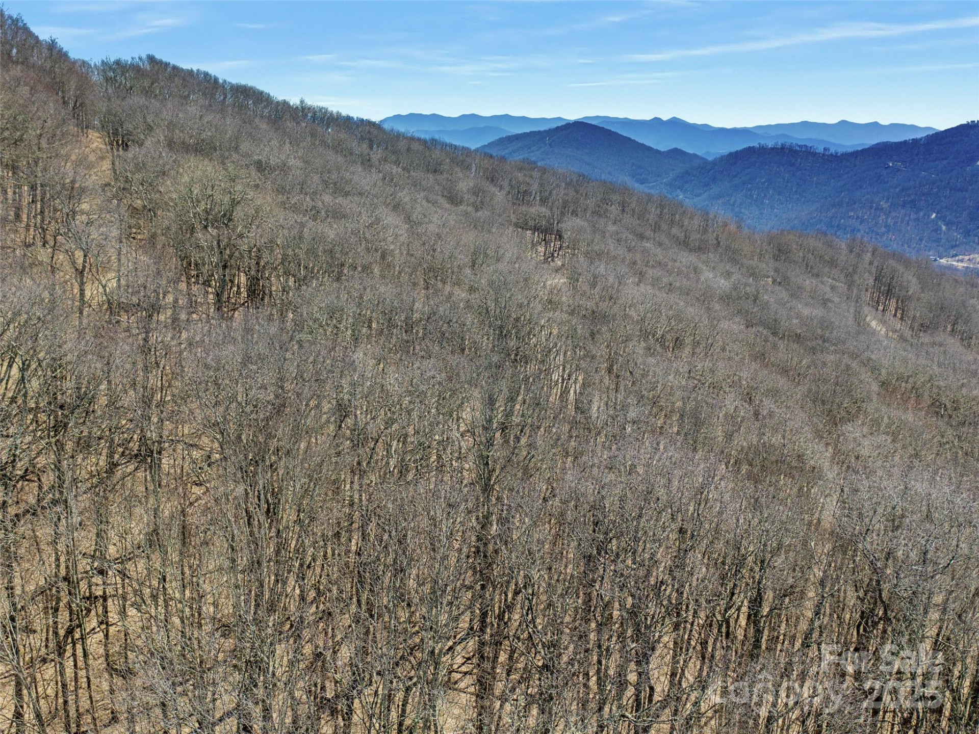 00 Tearshirt Lane #308/309 - Photo 15