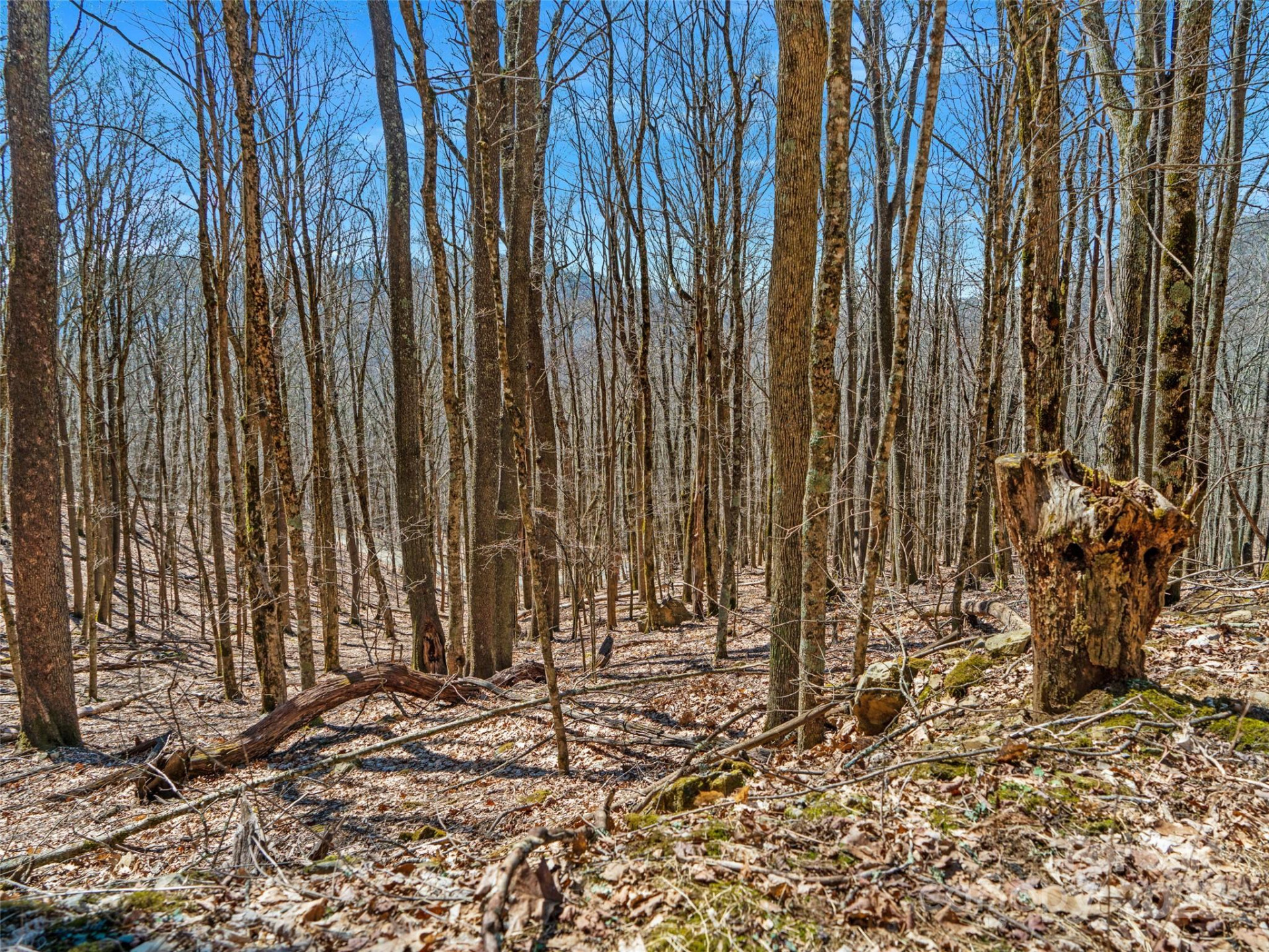 00 Tearshirt Lane #308/309 - Photo 16