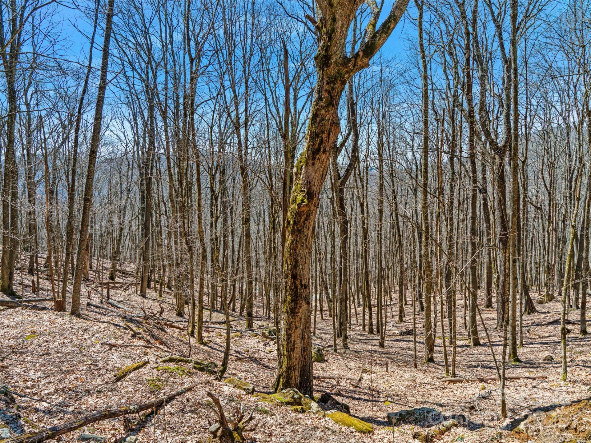 00 Tearshirt Lane #308/309 - Photo 17