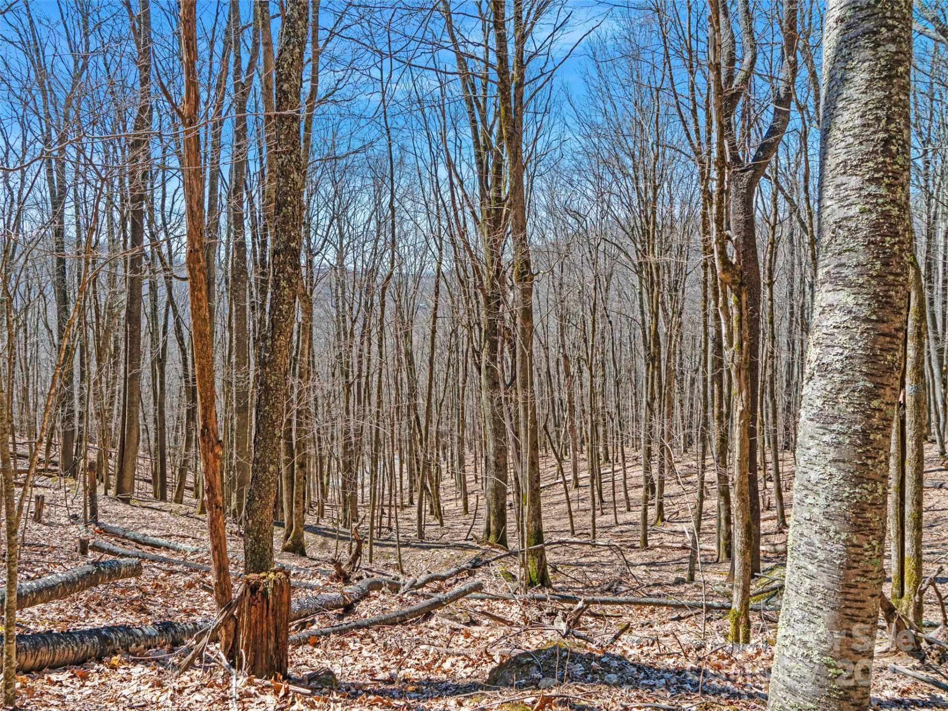 00 Tearshirt Lane #308/309 - Photo 18