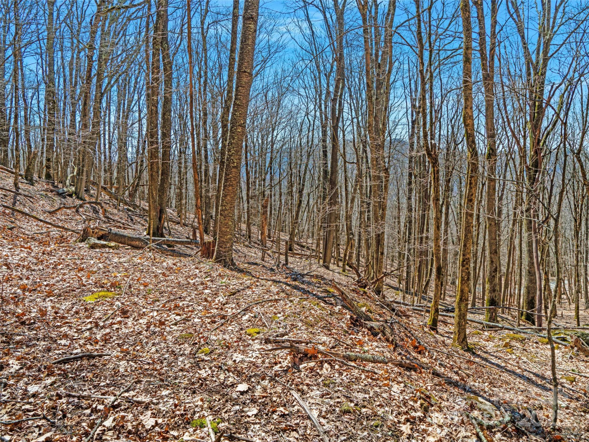 00 Tearshirt Lane #308/309 - Photo 19