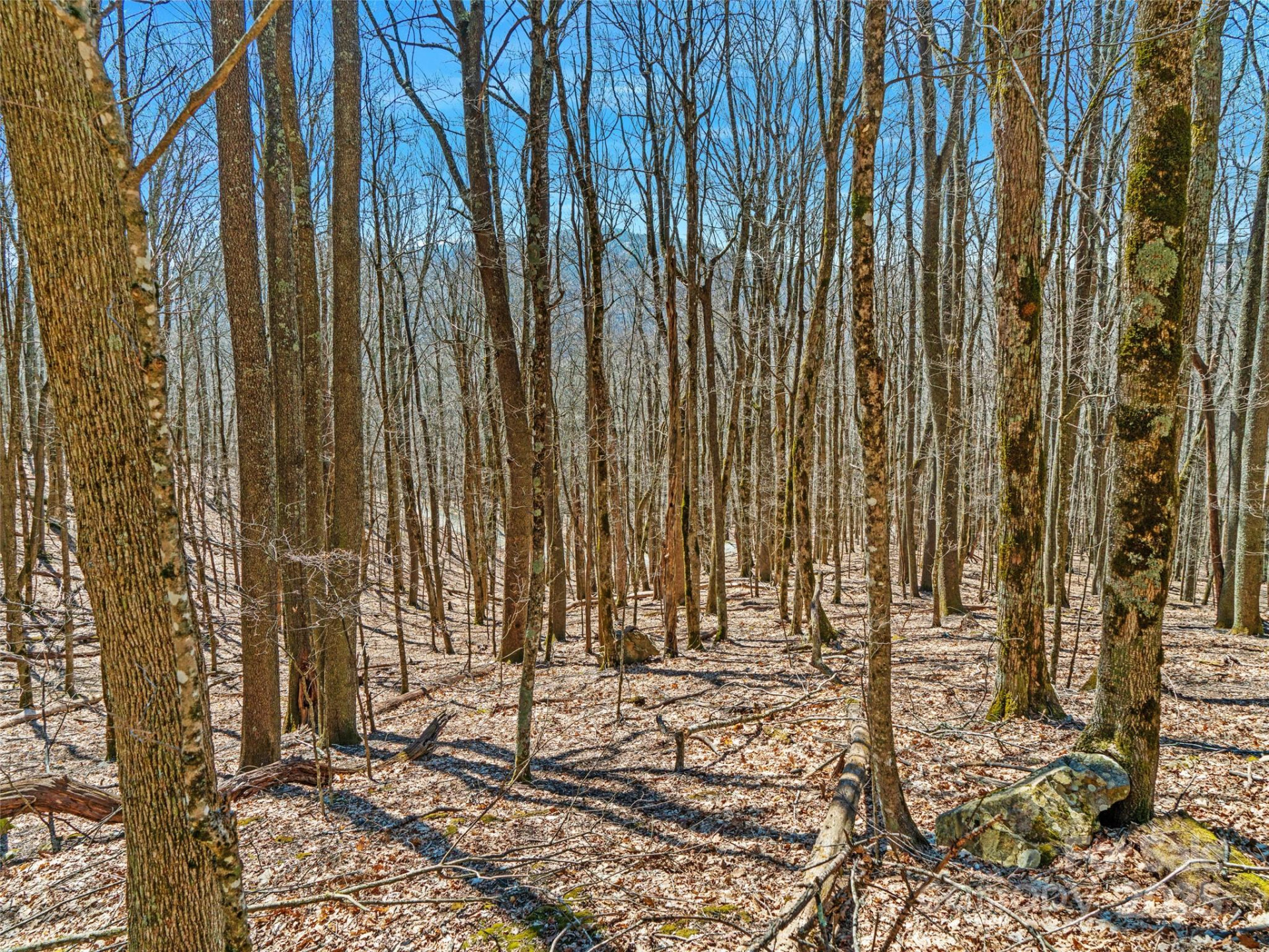 00 Tearshirt Lane #308/309 - Photo 20